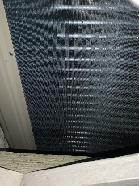 IMG_7127.jpeg