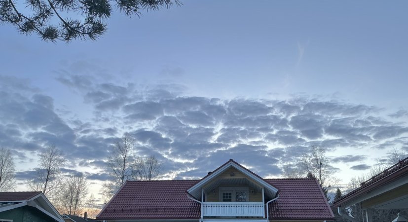 IMG_1181.jpeg