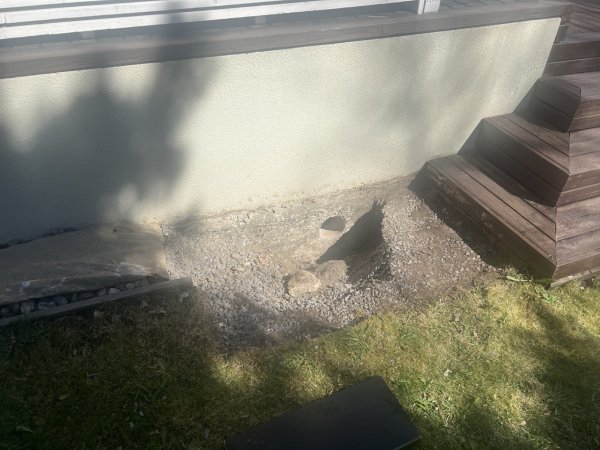 IMG_4261.jpeg