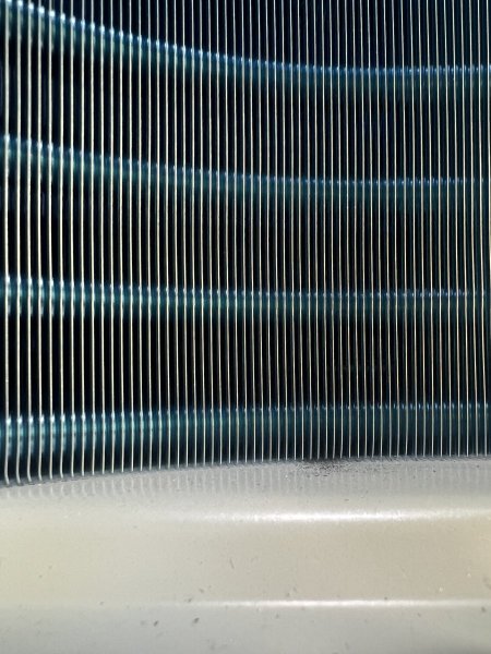 IMG_4546.jpeg