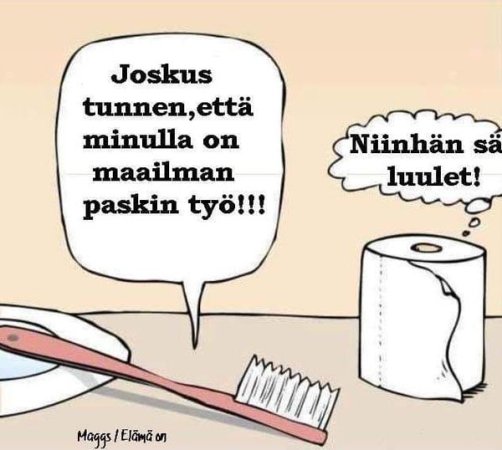 Paskin työ.jpg