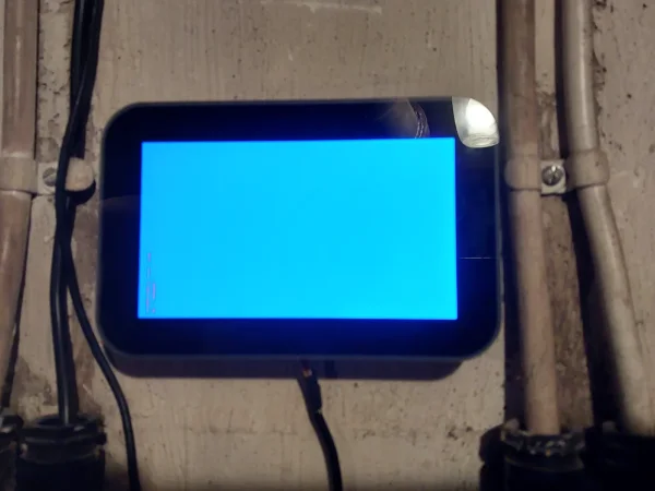 blue1.webp