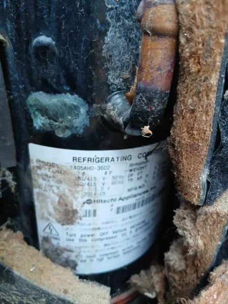 20261010_160333.webp