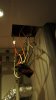 DSC02373.JPG